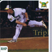 In the spotlight: Dawn Sullivan, Mallards fan madison mallards