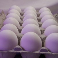 Seen On Pinterest: 10 “Eggscellent” Ways to Enhance Your Eggs eggs