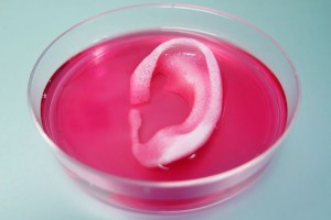 Image: Wake Forest Institute for Regenerative Medicine