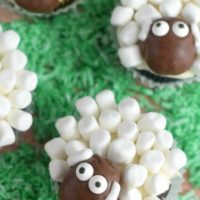 Seen On Pinterest: Animal Themed Birthday Ideas We Adore sheep