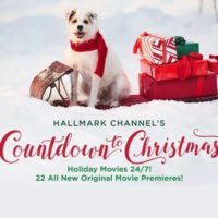 Hallmark Christmas movie bingo 2018 Countdown to Christmas