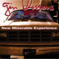 Cheap Tunes Tuesday: Gin Blossoms Gin Blossoms