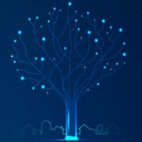 5 reasons to register early for TDS Fiber TDS fiber_tree